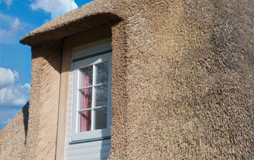 Grovesend thatch roof disadvantages